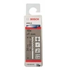 Image de Bosch 2608595049 Foret à Métaux Hss-G Standard Din 338 Ø 1 Mm 10 Pièces