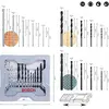Image de Bosch Accesorios Foret Multi-matériaux Hss X-pro 15 Pièces One Size
