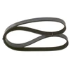 Image de Multi-Couronnes Bosch 6pk1080 Alfa Romeo;Audi;Bmw;Citroen;Ds;Fiat;Honda;Hyundai;Kia;Lancia;Mitsubishi;Peugeot;Seat;Skoda;Subaru;Volkswagen