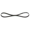 Image de Multi-Couronnes Bosch 5pk925 Citroen;Fiat;Hyundai;Kia;Mitsubishi;Renault;Rover;Volkswagen