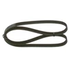 Image de Multi-Couronnes Bosch 5pk1125 Audi;Bmw;Citroen;Fiat;Jeep;Lada;Mercedes-Benz;Mitsubishi;Nissan;Opel;Peugeot;Renault;Toyota;Vauxhall