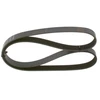 Image de Multi-Couronnes Bosch 6pk1145 Bmw;Daihatsu;Fiat;Ford;Infiniti;Lexus;;Mitsubishi;Nissan;Peugeot;Renault;Seat;Suzuki;Toyota;Volkswagen;Volvo