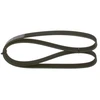 Image de Multi-Couronnes Bosch 6pk1256 Fiat;Ford;Hyundai;Kia;Toyota