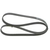 Image de Multi-Couronnes Bosch 6pk1450 Bmw;Chevrolet;Citroen;Ford;Mitsubishi;Peugeot;Rover