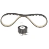 Image de Kit De Distribution Spannrollen-Set Bosch Bosch Spannrollenset Land Rover
