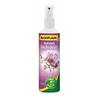 Image de Hydratant Orchidées - 250ml