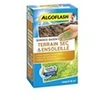 Image de - Gazon terrain sec ensoleillé 1kg