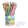 Image de Crayon de couleur triangulaire - pot de 38