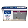 Image de Peinture Couleur Velours Pour Murs, Boiseries Radiateurs - Gris Ardoise