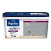 Image de Peinture Couleur Velours Pour Murs, Boiseries Radiateurs - Gris Galet
