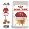 Image de Croquette chat royalcanin fit32 400g 25200040