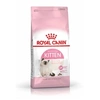 Image de Royal Canin - Croquettes Chatons - Kitten 36 - 2 Kg