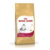 Image de Croquettes pour chats royal canin persian 30 sac 2 kg