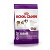 Image de Croquettes royal canin giant adulte sac 15 kg