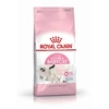 Image de Croquettes pour chatons royal canin babycat 34 sac 4 kg