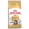 Image de Royal Canin Nourriture Pour Chats Adultes Maine Coon 4kg 4kg
