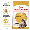 Image de Croquette chat royalcanin mainecoon 4kg 25500400