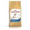 Image de Croquettes pour chats royal canin siamese 38 sac 2 kg