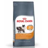Image de Royal Canin Nourriture Pour Chats Adultes Pour Le Soin De La Peau Et Du Pelage 2kg 2kg