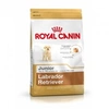 Image de Croquettes royal canin labrador retriever 33 junior sac 12 kg