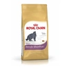 Image de Royal Canin - Croquettes British Shorthair pour Chat Adulte - 2Kg
