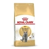 Image de British Shorthair Adult cats dry food 4 kg