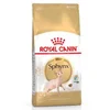 Image de Royal Canin Nourriture Pour Chats Adultes Sphynx 2kg 2kg