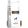 Image de Croquettes royal canin veterinary diet gastro intestinal junior pour chiens sac 2,5 kg