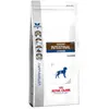 Image de Royal Canin Nourriture Pour Chien Gastro Intestinal Junior 10kg