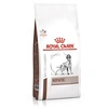 Image de Croquettes dog hepatic - 12kg