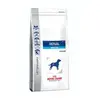 Image de Royal canin veterinary diet - renal special - 2 kg