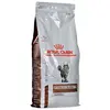 Image de Royal Canin Nourriture Pour Chat Contre Les Boules De Poils Gastro Intestinal 2kg 2kg