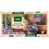 Image de Pouzzolane - 20 L | Vilmorin Jardin
