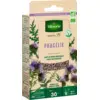 Image de Engrais vert Phacélie - BIO - Petit Modèle | Vilmorin Jardin