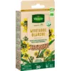 Image de Engrais vert Moutarde blanche - BIO - Petit Modèle | Vilmorin Jardin