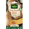 Image de Courge Musquée Waltham Butternut - Légumes d'Autrefois | Vilmorin Jardin
