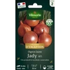 Image de Oignon Jaune Jady HF1 - Graines d'Exception | Vilmorin Jardin