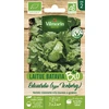 Image de Laitue Iceberg Eduardo - BIO | Vilmorin Jardin