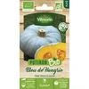 Image de Potiron Bleu de Hongrie - BIO | Vilmorin Jardin