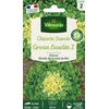 Image de Chicorée Scarole Grosse Bouclée 2 | Vilmorin Jardin