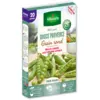 Image de Pois Douce Provence - 20 m | Vilmorin Jardin