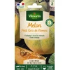 Image de Melon Petit Gris de Rennes - Légumes d'Autrefois | Vilmorin Jardin