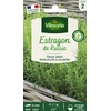 Image de Estragon de Russie | Vilmorin Jardin