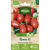 Image de Tomate Roma V.F - BIO | Vilmorin Jardin
