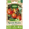 Image de Tomate Tigerella Bicolore - BIO | Vilmorin Jardin