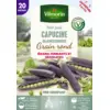 Image de Pois Grimpant Capucine (Blauwshokker) - 20 m | Vilmorin Jardin