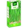Image de Haricot Nain Vert Divinel | Vilmorin Jardin