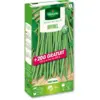 Image de Haricot Nain Vert Divinel + 20 g Offert | Vilmorin Jardin