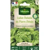 Image de Laitue Batavia de Pierre Bénite - Légumes d'Autrefois | Vilmorin Jardin