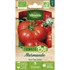 Image de Tomate Marmande - BIO | Vilmorin Jardin